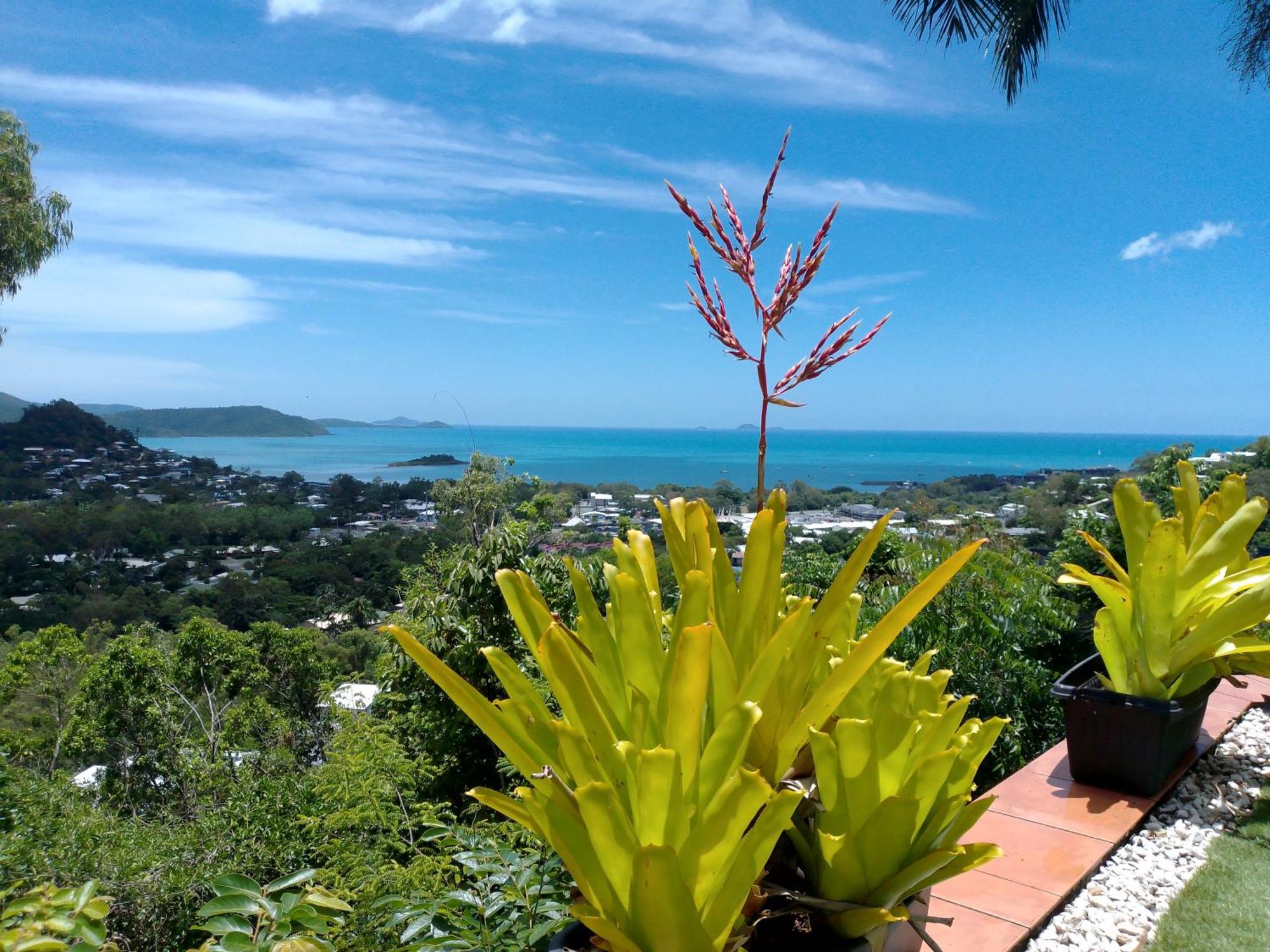 Yachtsmans Paradise, Whitsundays Airlie Beach Extérieur photo